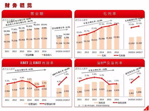高鑫零售2024上半年業績解讀 營收穩健增長，日用百貨銷售成亮點